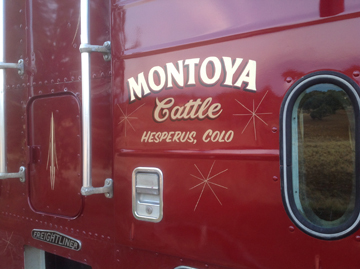 Semi Truck Door Lettering